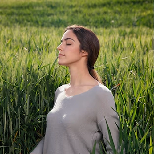 https://burnsemotionalwellness.com/wp-content/uploads/2024/06/1.webp